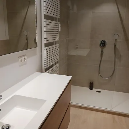 Betsy Met Direct Zeezicht Oostende