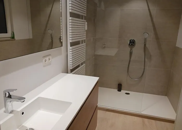 Betsy Met Direct Zeezicht 奥斯滕德